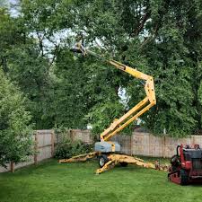 Professional Tree Care  in Erwin, NC